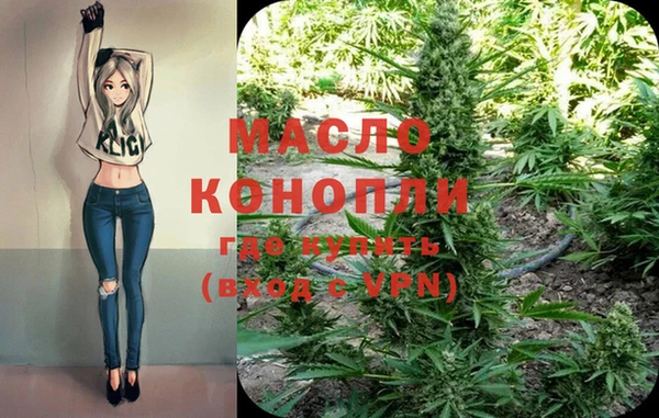 шишки Майский