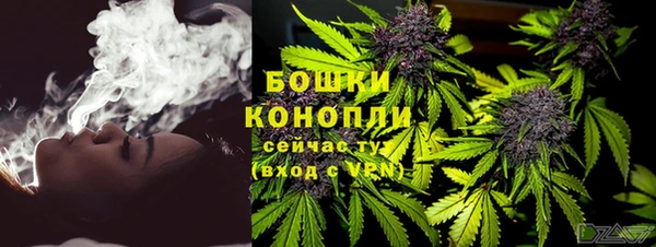 шишки Майский