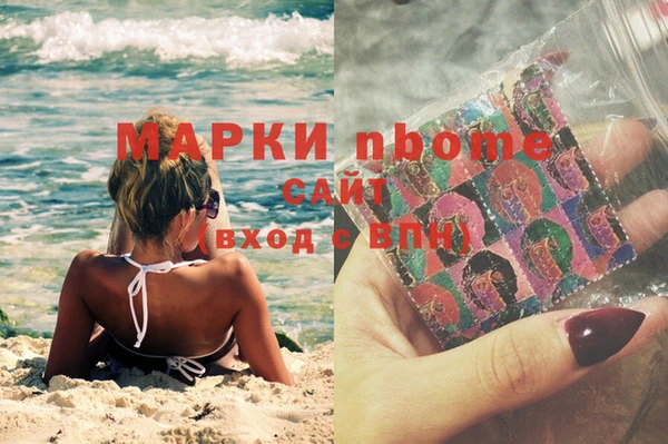 шишки Майский