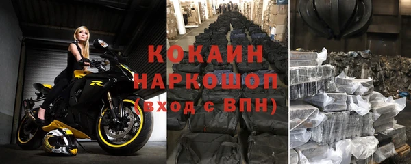 шишки Майский