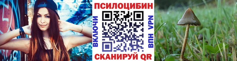 Галлюциногенные грибы Cubensis  блэк спрут ссылка  Новотитаровская 