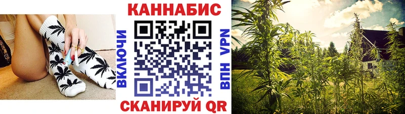 Шишки марихуана тримм  Новотитаровская 